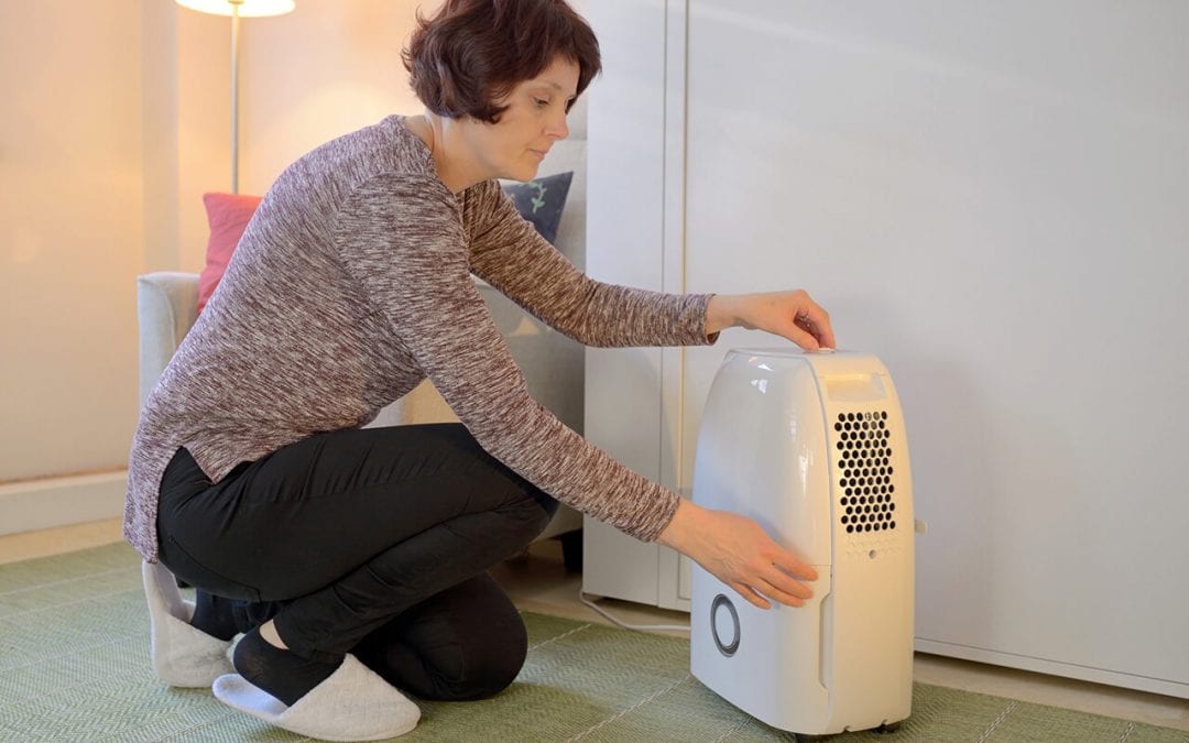 use a dehumidifier to help prevent mold growth