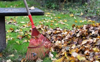 4 Tasks for Fall Home Maintenance