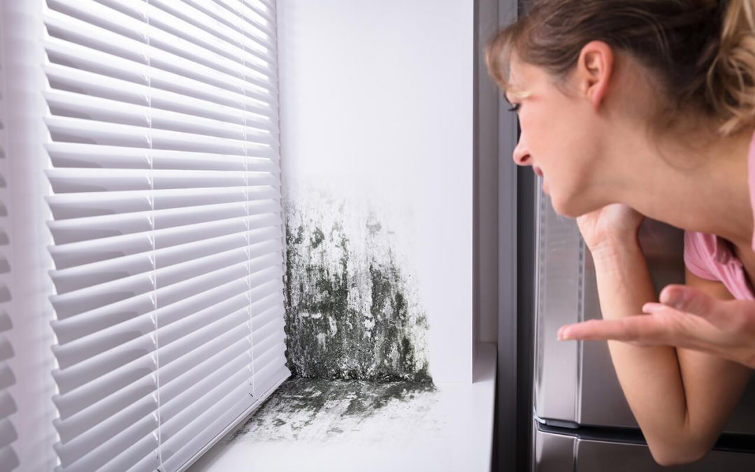 5 Common Causes of Odors in the Home