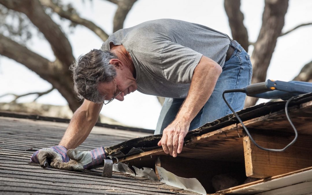 6 Tips for Annual Roof Maintenance