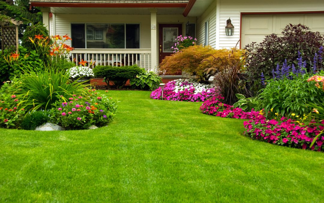 4 Easy Landscaping Tips for a Beautiful Outdoor Space